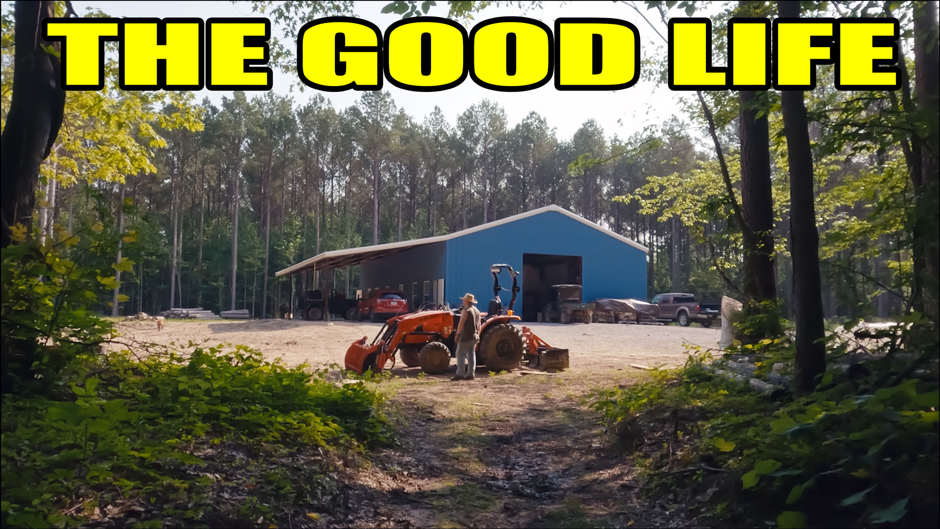 Day 420 – GREAT Progress, Shooting range, Felling, Root Balls