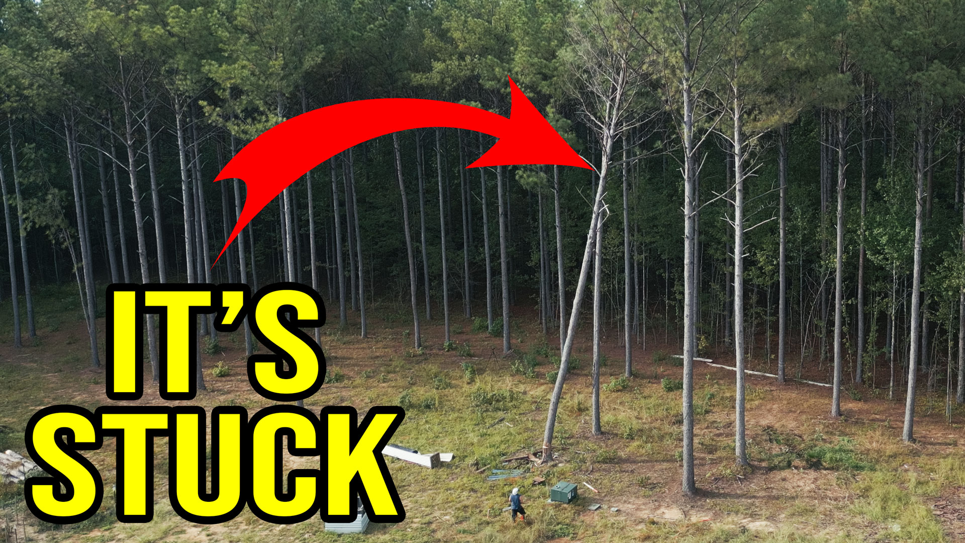 Day 532 – Ahhhh…I Hung A Tree!