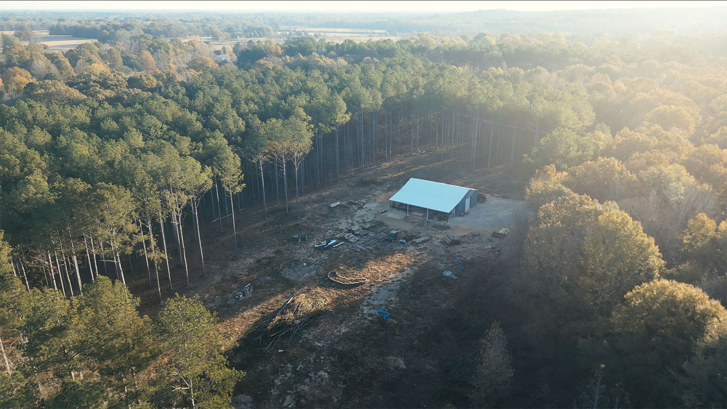 Day 584 – The Biggest Tree and BEST Lumber I’ve Ever Cut